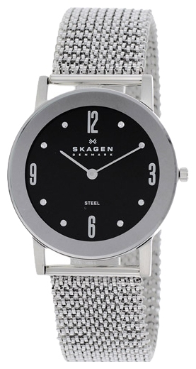 Skagen 39LSSB2 wrist watches for women - 2 photo, picture, image