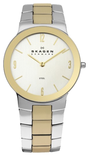 Skagen 430MSGXG wrist watches for men - 1 photo, picture, image