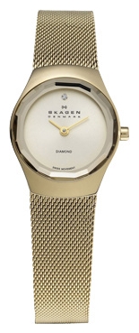 Wrist watch Skagen for Women - picture, image, photo