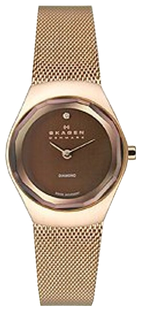 Wrist watch Skagen for Women - picture, image, photo