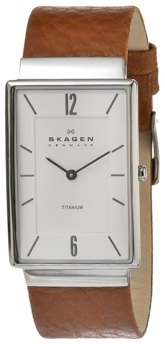 Skagen 434LTLDW wrist watches for men - 1 image, photo, picture
