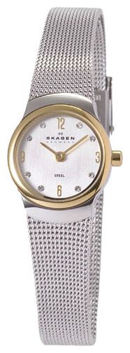 Wrist watch Skagen for Women - picture, image, photo