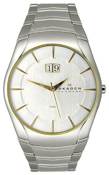 Wrist watch Skagen for Men - picture, image, photo