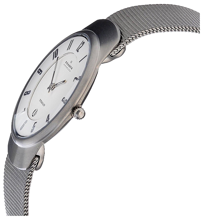Skagen 533LTTW wrist watches for men - 2 photo, image, picture
