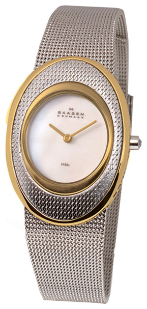 Skagen 548SGSCD wrist watches for women - 1 photo, picture, image