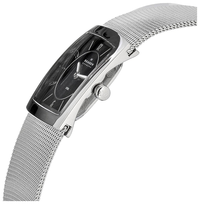 Skagen 563XSSSB wrist watches for women - 2 image, picture, photo
