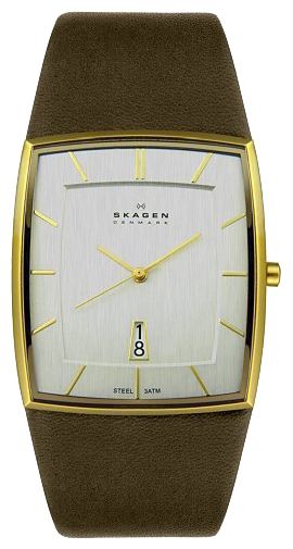 Wrist watch Skagen for Men - picture, image, photo