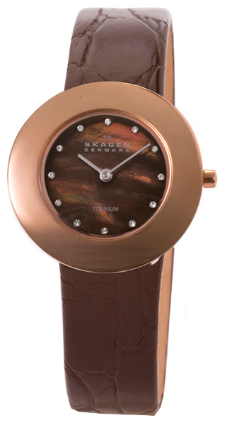 Skagen 569STRLD4 wrist watches for women - 1 picture, photo, image