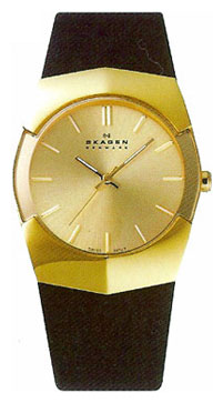 Skagen 580SGLB wrist watches for women - 1 image, photo, picture