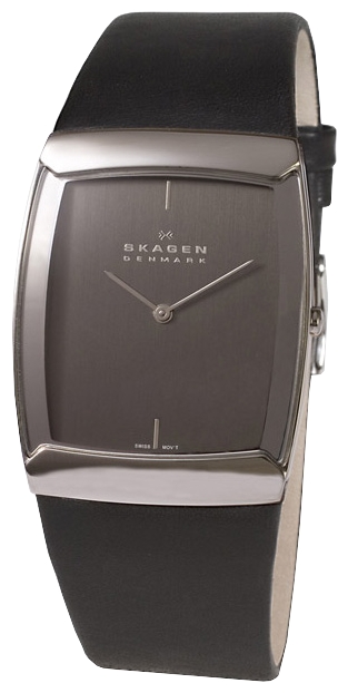 Skagen 584LSLM wrist watches for men - 1 image, photo, picture