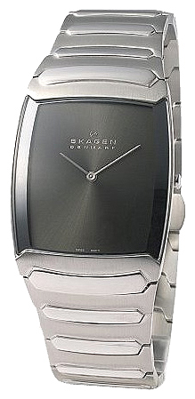 Skagen 584LSXM wrist watches for men - 1 photo, image, picture