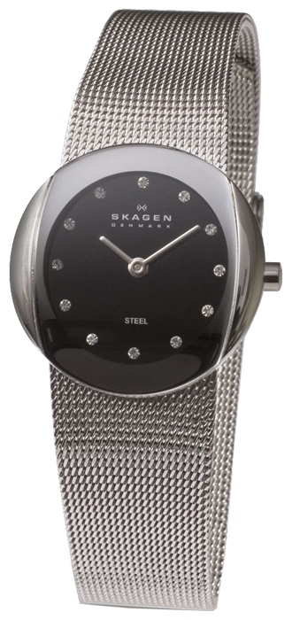 Skagen 589SSSB wrist watches for women - 1 photo, image, picture