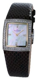 Skagen 608SSLD8 wrist watches for women - 1 photo, image, picture