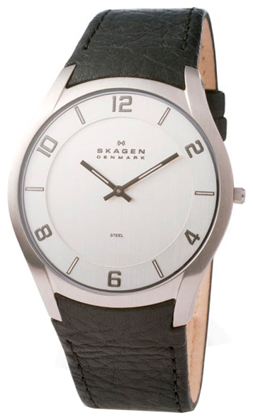 Wrist watch Skagen for Men - picture, image, photo