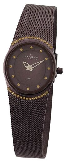 Wrist watch Skagen for Women - picture, image, photo