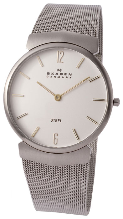 Wrist watch Skagen for Men - picture, image, photo