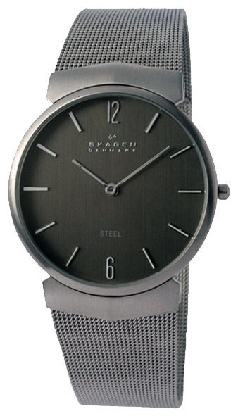Skagen 695XLSSM wrist watches for men - 1 photo, image, picture