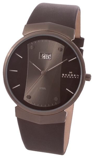 Skagen 697XLMLMB wrist watches for men - 1 photo, image, picture