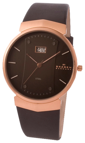 Skagen 697XLRLB wrist watches for men - 1 image, photo, picture