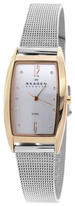 Skagen 698SRS wrist watches for women - 1 image, picture, photo