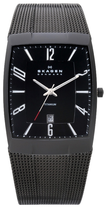 Skagen 851LTBB wrist watches for men - 1 photo, image, picture