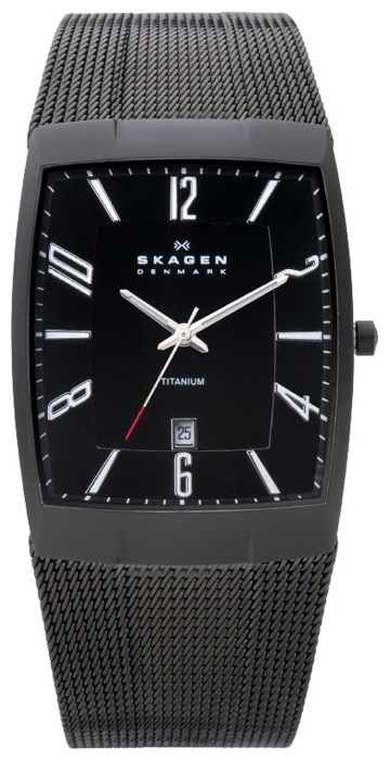 Wrist watch Skagen for Men - picture, image, photo