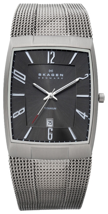 Wrist watch Skagen for Men - picture, image, photo