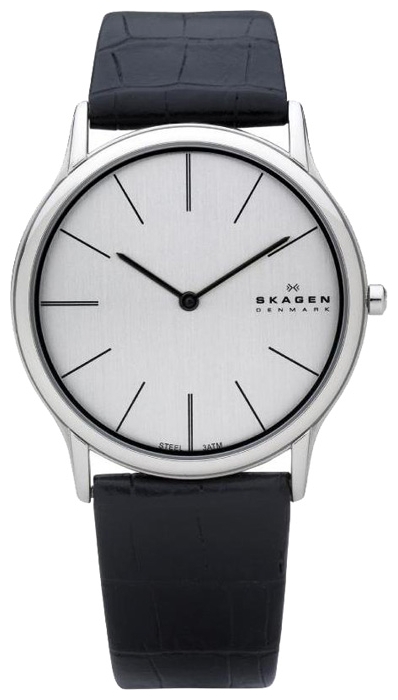 Wrist watch Skagen for Men - picture, image, photo