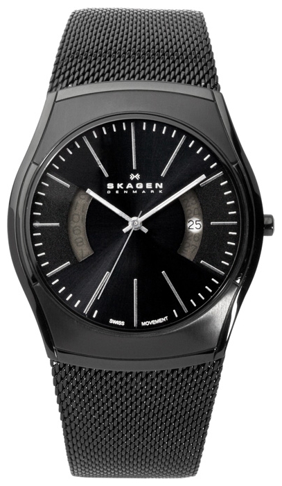 Skagen 597SSLB pictures