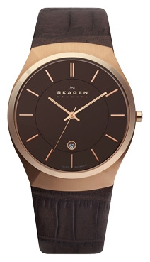 Skagen 925XLRLD wrist watches for men - 1 picture, image, photo