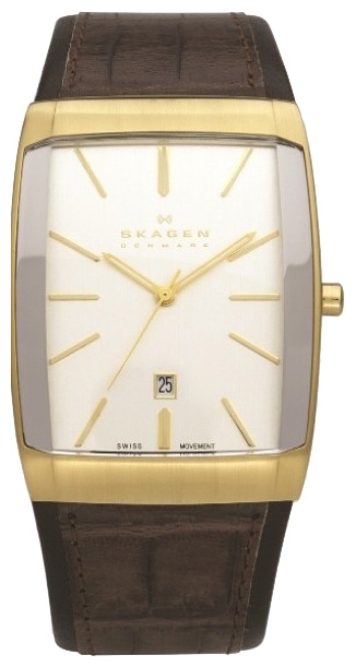 Skagen 233XLTBBC pictures