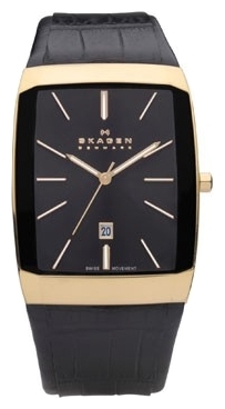 Wrist watch Skagen for Men - picture, image, photo