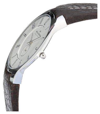 Skagen OT433XLSL1 wrist watches for men - 2 image, photo, picture