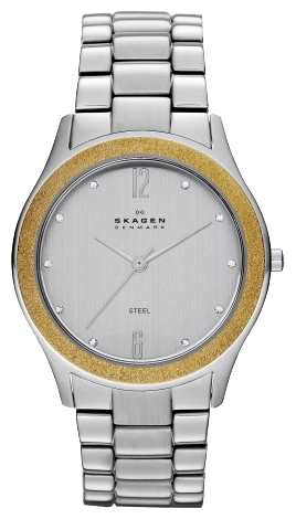 Skagen SKW2093 wrist watches for women - 1 picture, image, photo