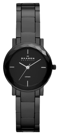 Skagen SKW2097 wrist watches for women - 1 photo, picture, image