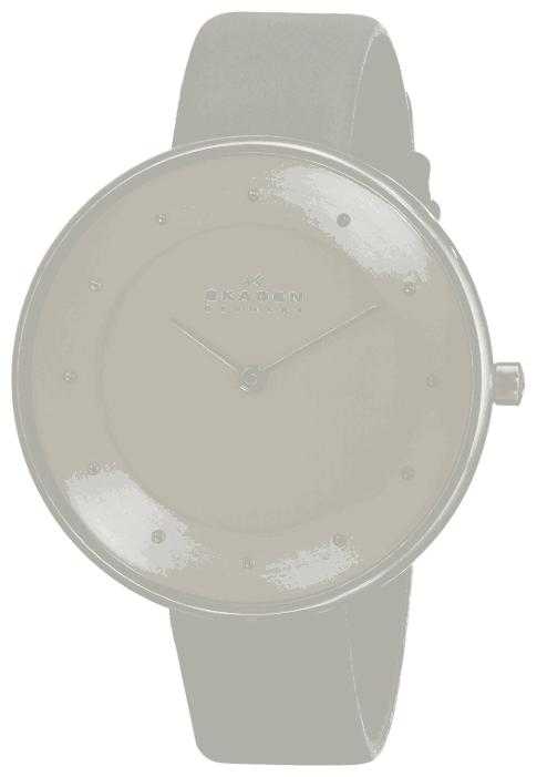 Skagen SKW2139 wrist watches for women - 2 photo, image, picture