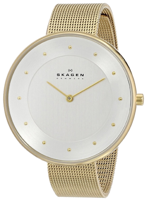 Skagen SKW2141 wrist watches for women - 2 photo, picture, image