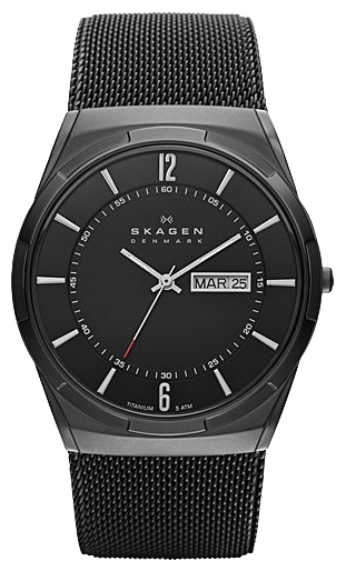 Skagen SKW6006 wrist watches for men - 1 picture, image, photo