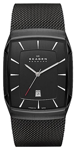 Skagen SKW6011 wrist watches for men - 1 picture, image, photo