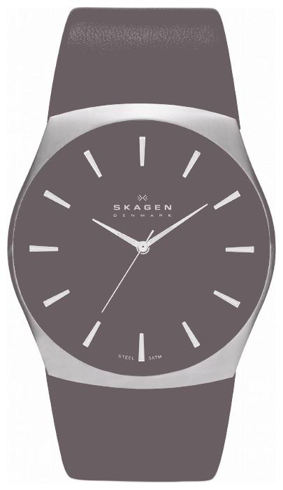 Skagen SKW6016 wrist watches for men - 1 photo, picture, image