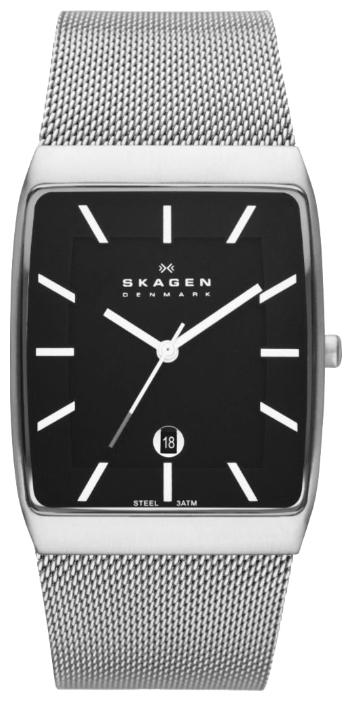 Skagen SKW6027 wrist watches for men - 1 picture, image, photo