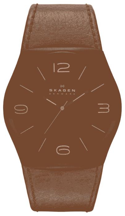 Skagen SKW6040 wrist watches for men - 1 photo, image, picture
