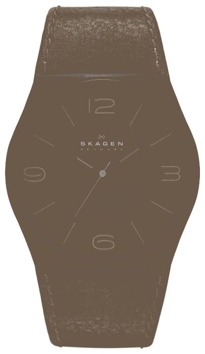 Skagen SKW6042 wrist watches for men - 1 image, photo, picture