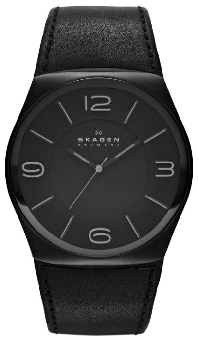 Skagen SKW6043 wrist watches for men - 1 picture, image, photo