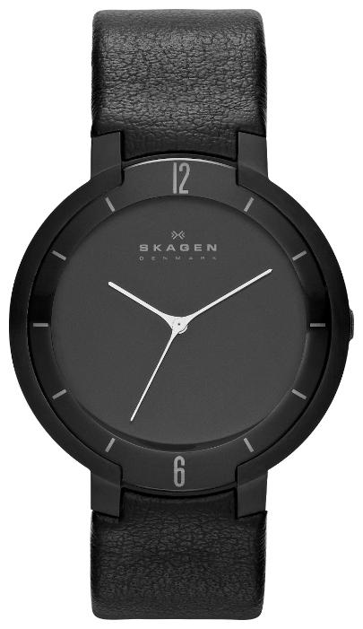 Skagen SKW6045 wrist watches for men - 1 photo, picture, image