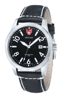 Swiss Eagle SE-9029-01 wrist watches for men - 1 photo, image, picture