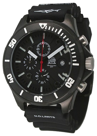 Tauchmeister T0218 wrist watches for men - 1 picture, photo, image