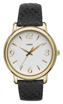 Timex T2N379 pictures