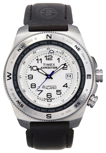 Wrist watch Timex for Men - picture, image, photo