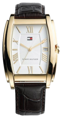 Wrist watch Tommy Hilfiger for Men - picture, image, photo